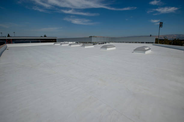Best Roof Replacement  in Orono, MN