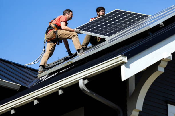 Best Skylight Installation and Repair  in Orono, MN