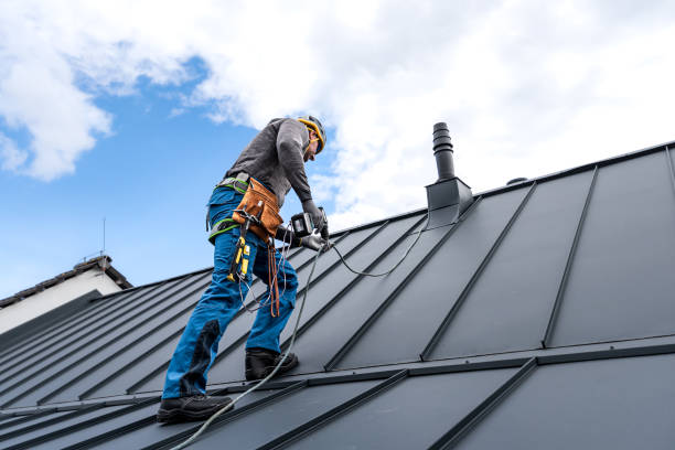 Best Roof Maintenance and Cleaning  in Orono, MN