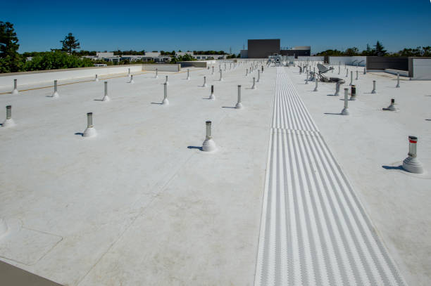 Best Sheet Metal Roofing  in Orono, MN